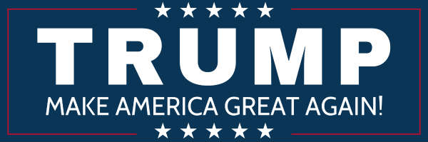 Image result for trump bumper sticker